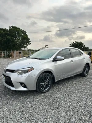 Car Rentals
