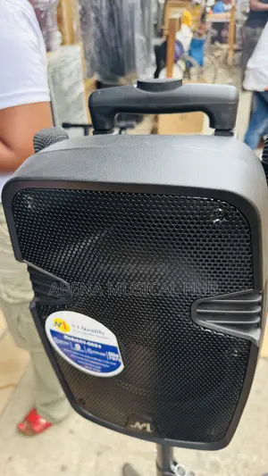 N1 Quality Rechargeable Bluetooth Speaker 8 Inches W Two Microphones