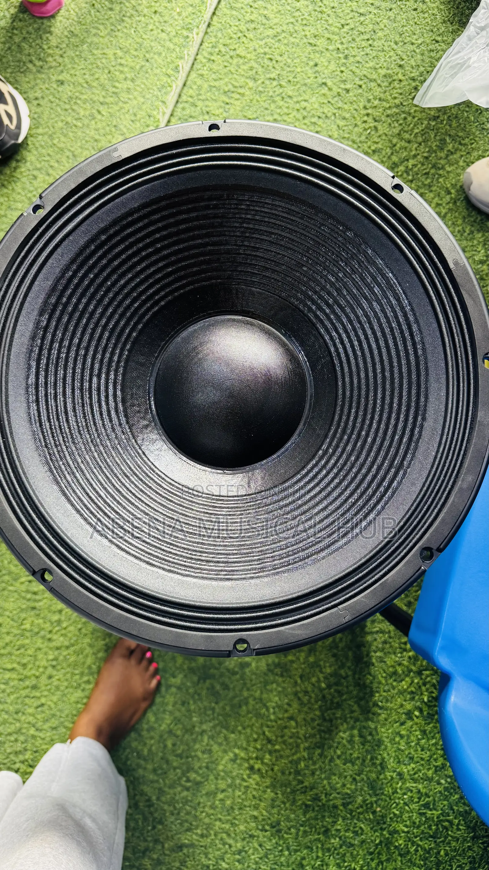 Jac 15 Inches Naked Speaker Double Magnet (2000 Watt)