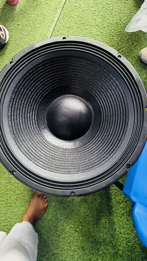 Jac 15 Inches Naked Speaker Double Magnet (2000 Watt)