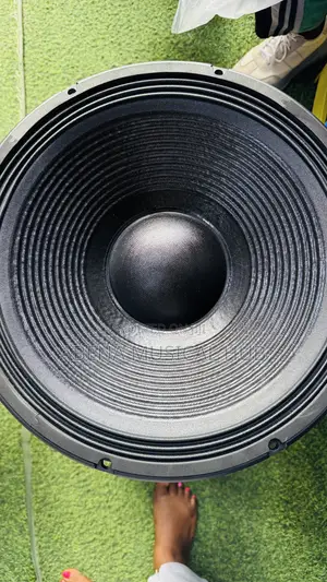 Jac 15 Inches Naked Speaker Double Magnet (2000 Watt)