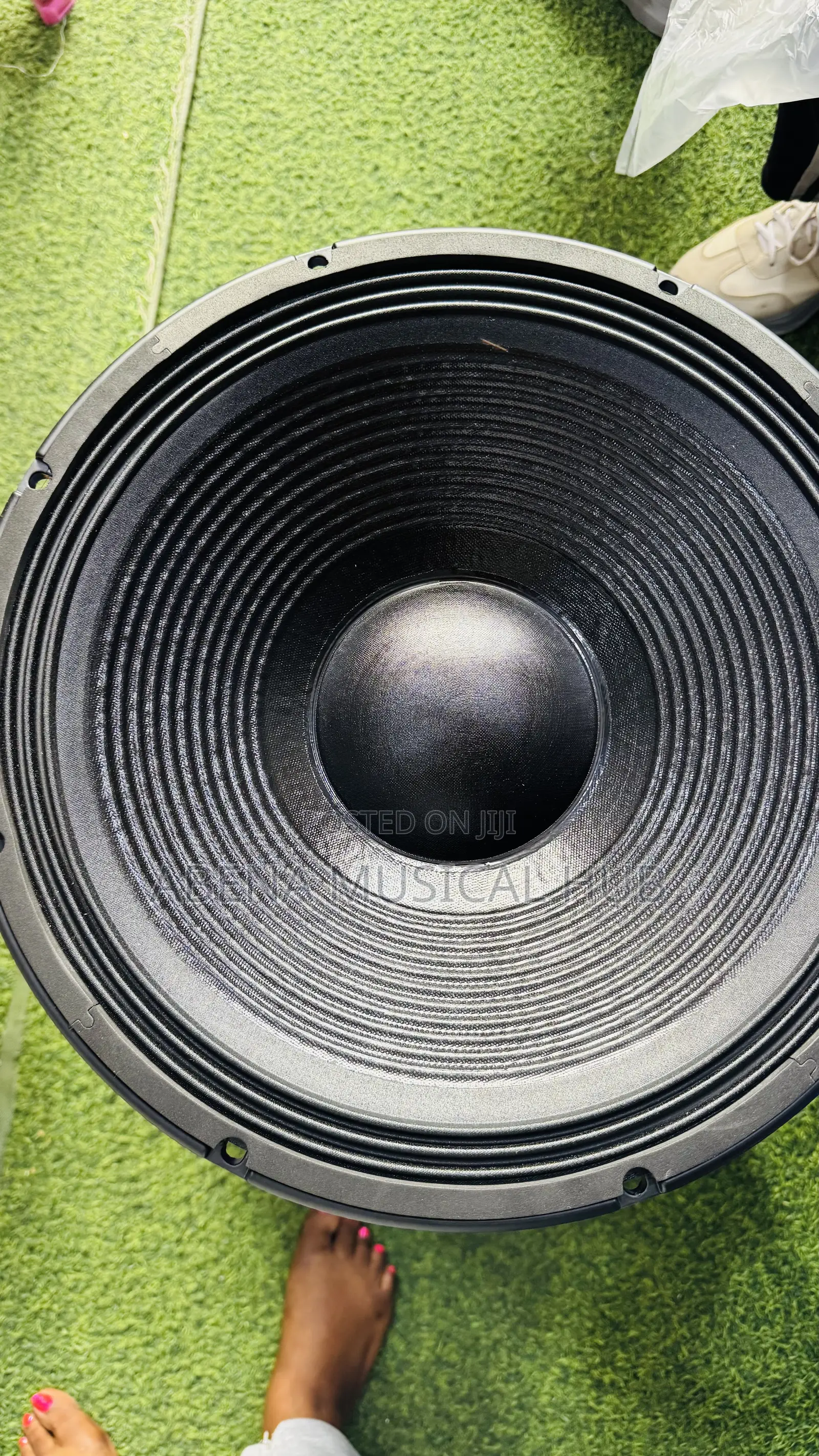 Jac 15 Inches Naked Speaker Double Magnet (2000 Watt)