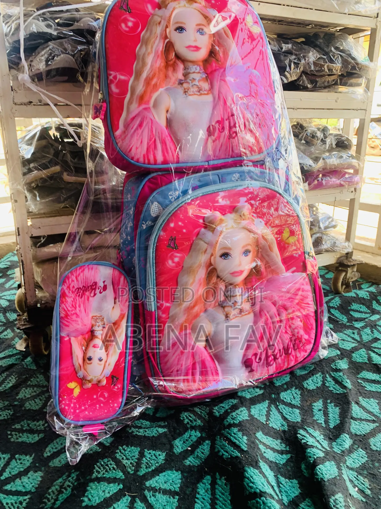 3 in 1 School Bag