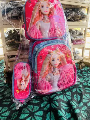 3 in 1 School Bag