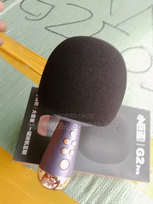 Sing Bar Microphone (Wireless)