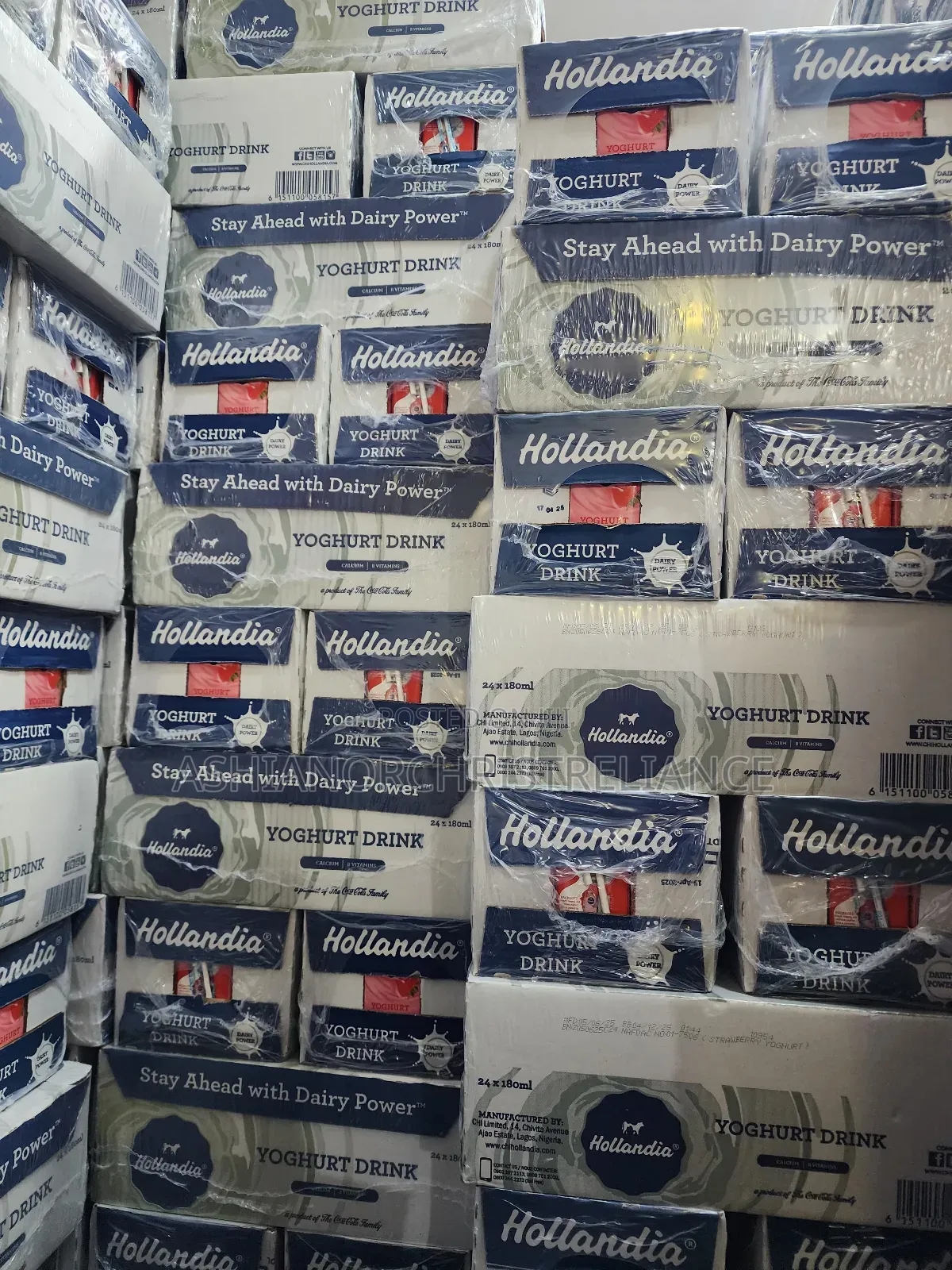 Hollandia Yoghurt