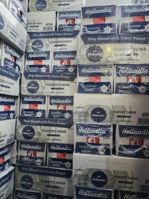 Hollandia Yoghurt