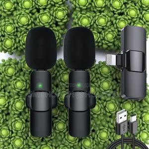 Wireless Microphone 2 in 1 Microphone (44000)
