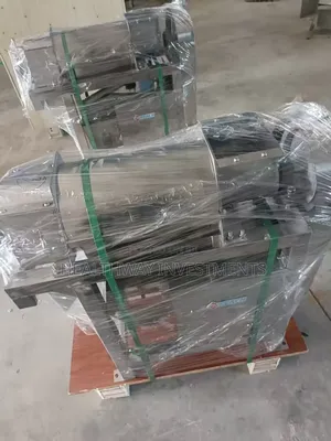 Commercial Fruit Juicer