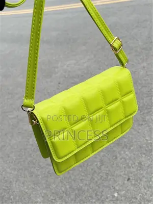 Ladies Bags