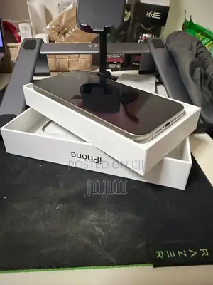Apple iPhone 15 Pro Max 256 GB Silver