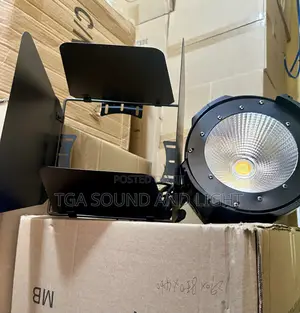 Cob Light With Barn Door
