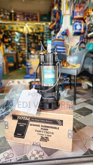 Total 1.0 Horsepower Submersible Sewage Pump- Stainless