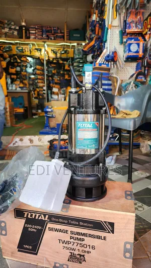 Total 1.0 Horsepower Submersible Sewage Pump- Stainless