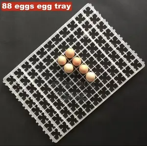88 Incubator Egg Tray