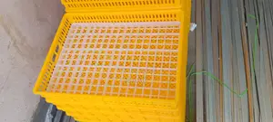 Hatchery Basket