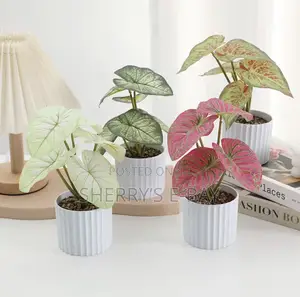 Artificial Plants