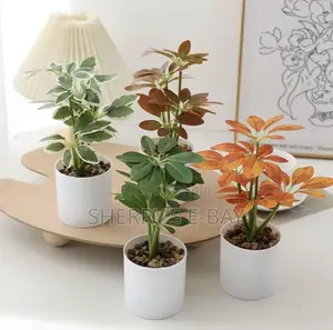 Artificial Plants