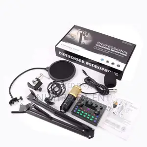 Professional Condenser Microphone