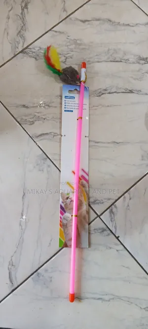 Cat Play Toys