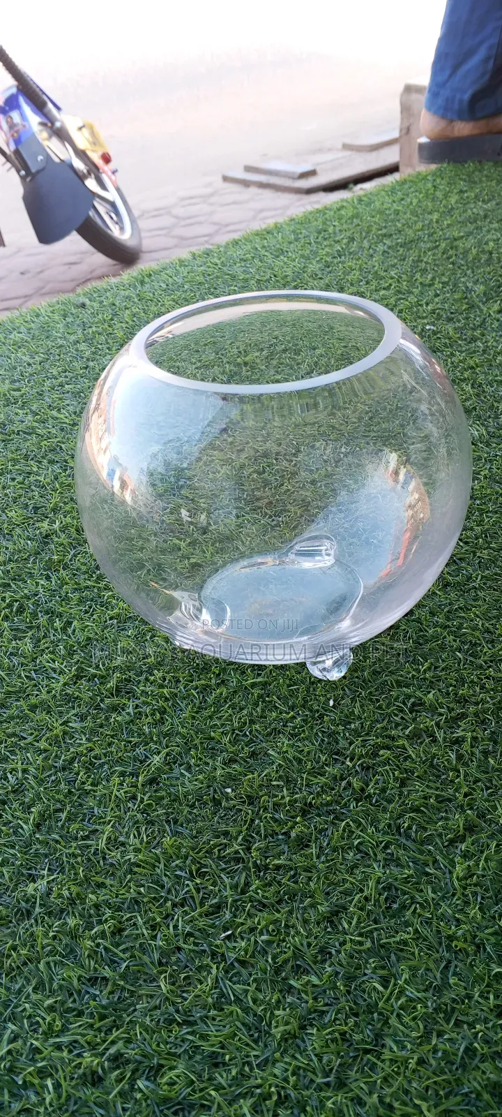 Aquarium Glass Bowl