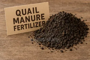 Quail Manure Fertilizer