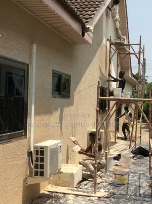 Waterproof Graffiato Paint and Wall Dumpness Treatment