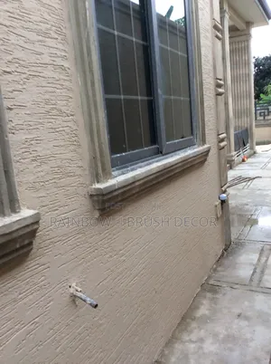 Waterproof Graffiato Paint and Wall Dumpness Treatment