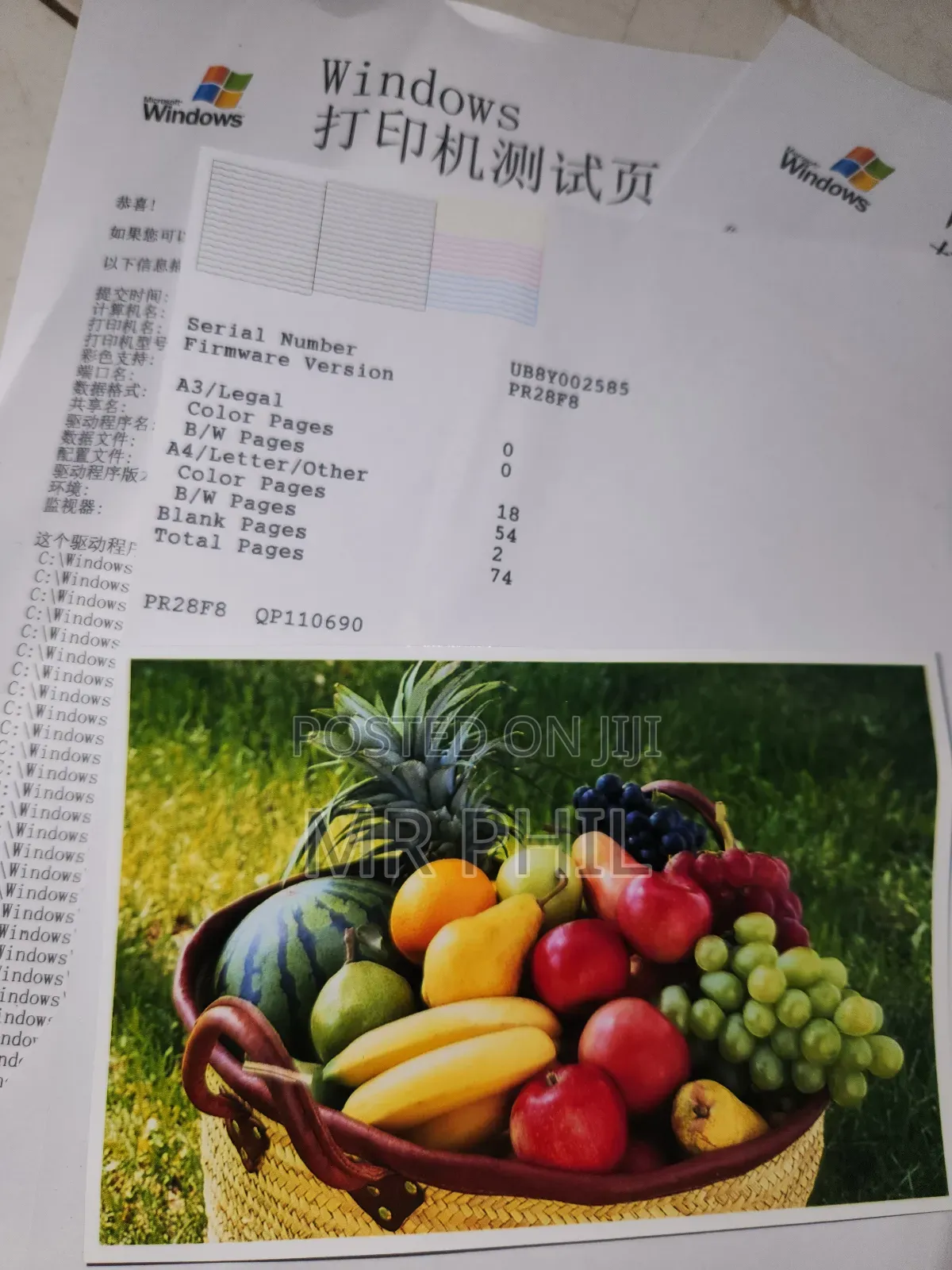 A3 Epson L1300