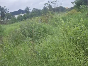 21 Acres Located at Dahwenya Close to B5