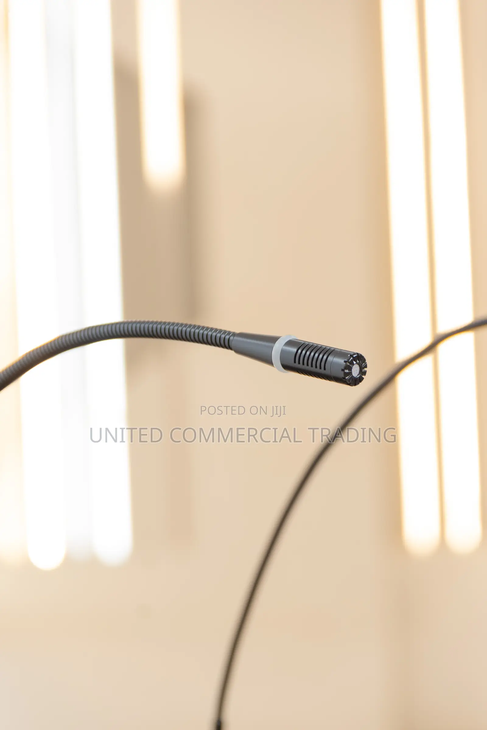 Lectern (Gooseneck Mic)