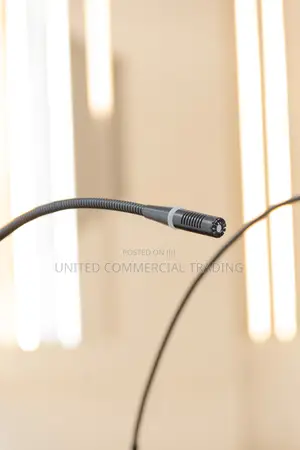 Lectern (Gooseneck Mic)