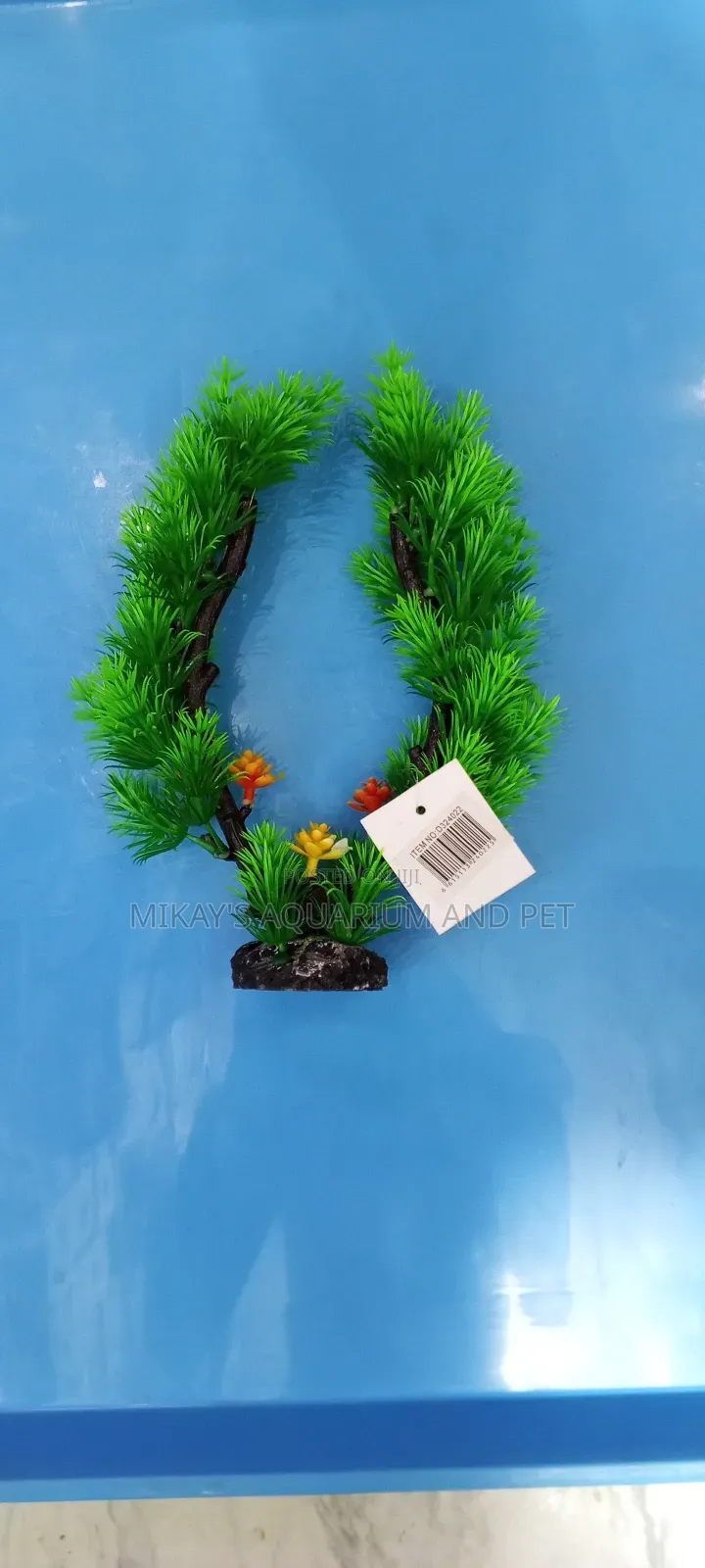 Plant for Aquarium Decor