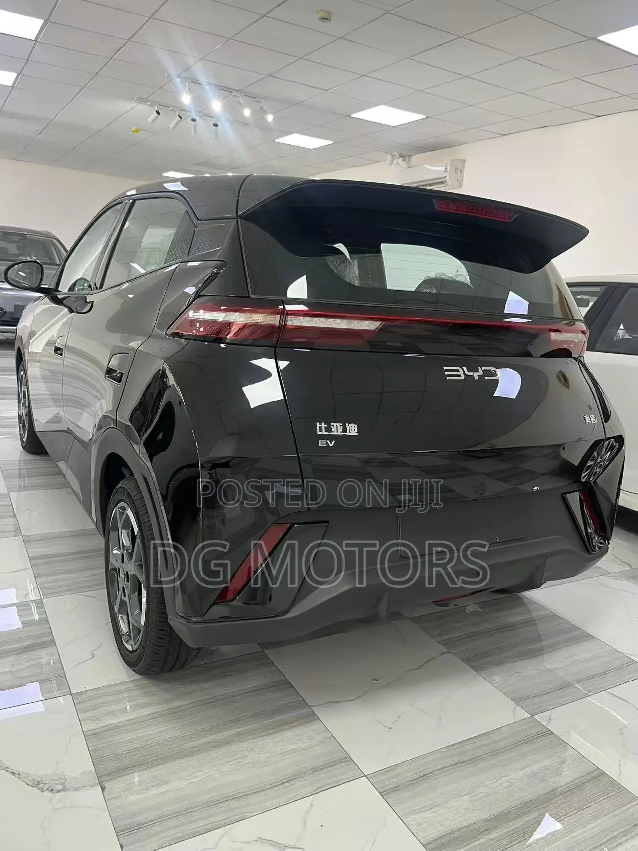 New BYD Seagull 2024 Black