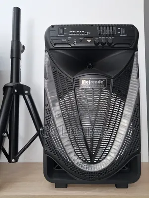 Professional Audio Speaker