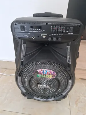 Mini 12" Out Door Speaker