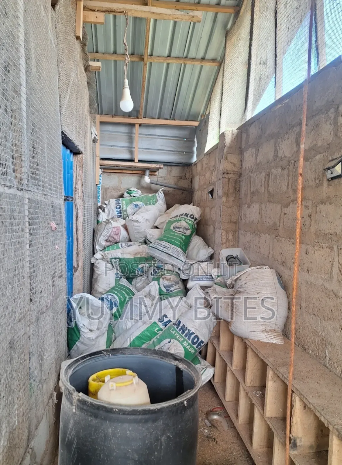 Empty Chicken Feed Sacks .
