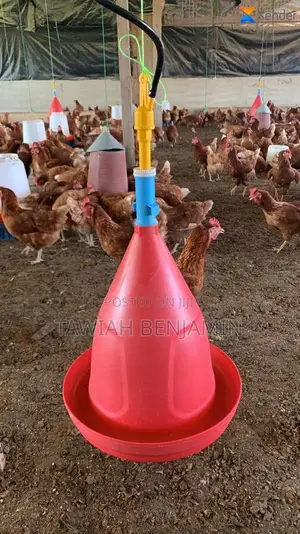 Chicken Automatic Drinker (Jumbo Size)