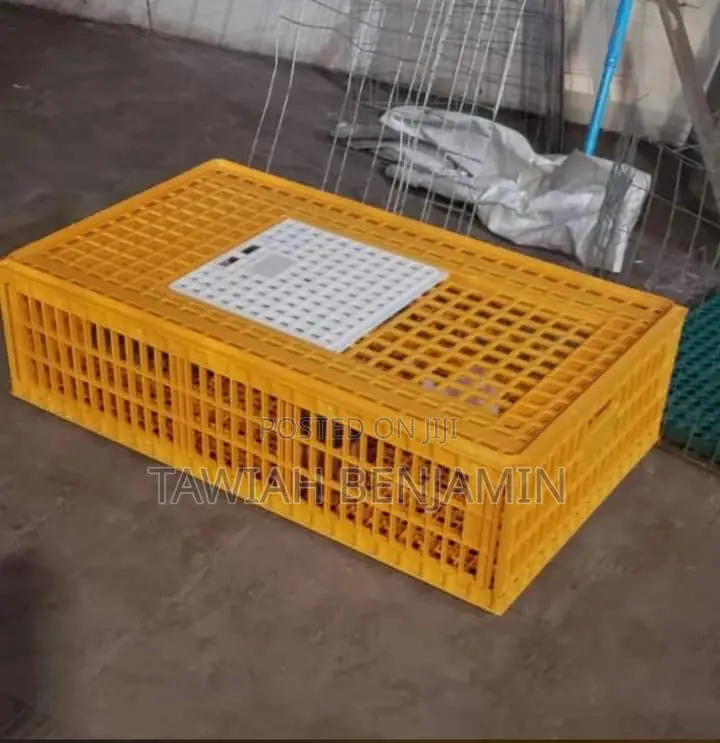 Chicken Transport Cage