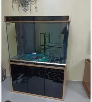 Huge Imported Aquarium