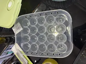 Plastic Egg Storage/Egg Crate