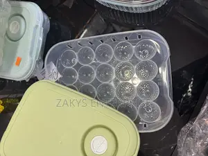 Plastic Egg Storage/Egg Crate