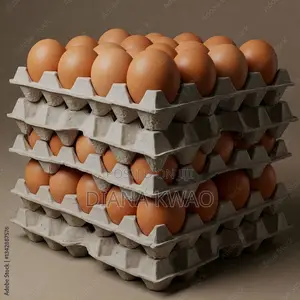 Eggs for Sale