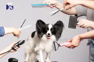 Puppy Grooming Service