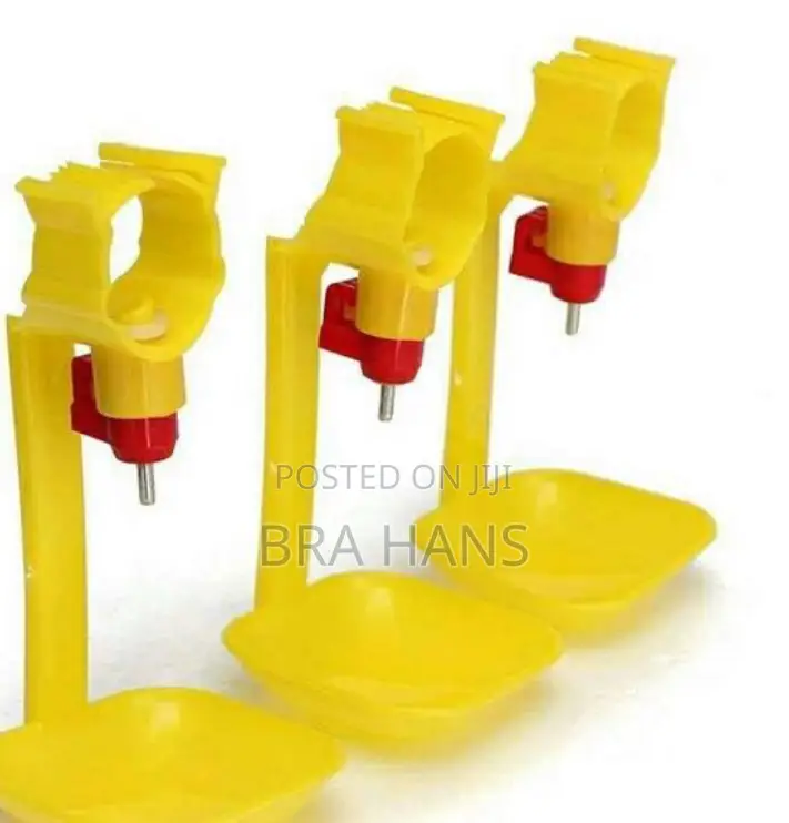Chicken Nipple Drinker