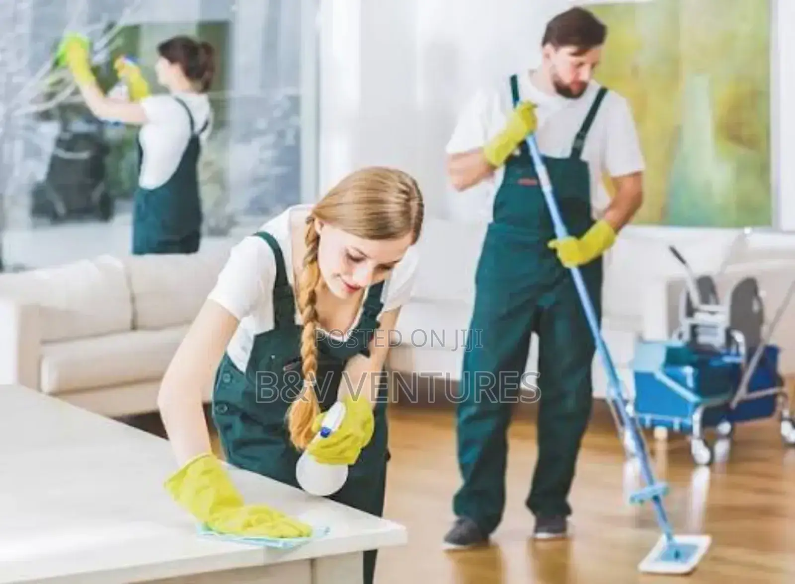 Cleaner Service