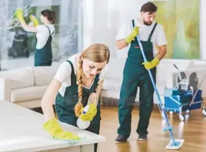 Cleaner Service