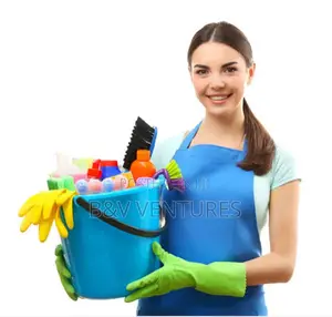 Cleaner Service