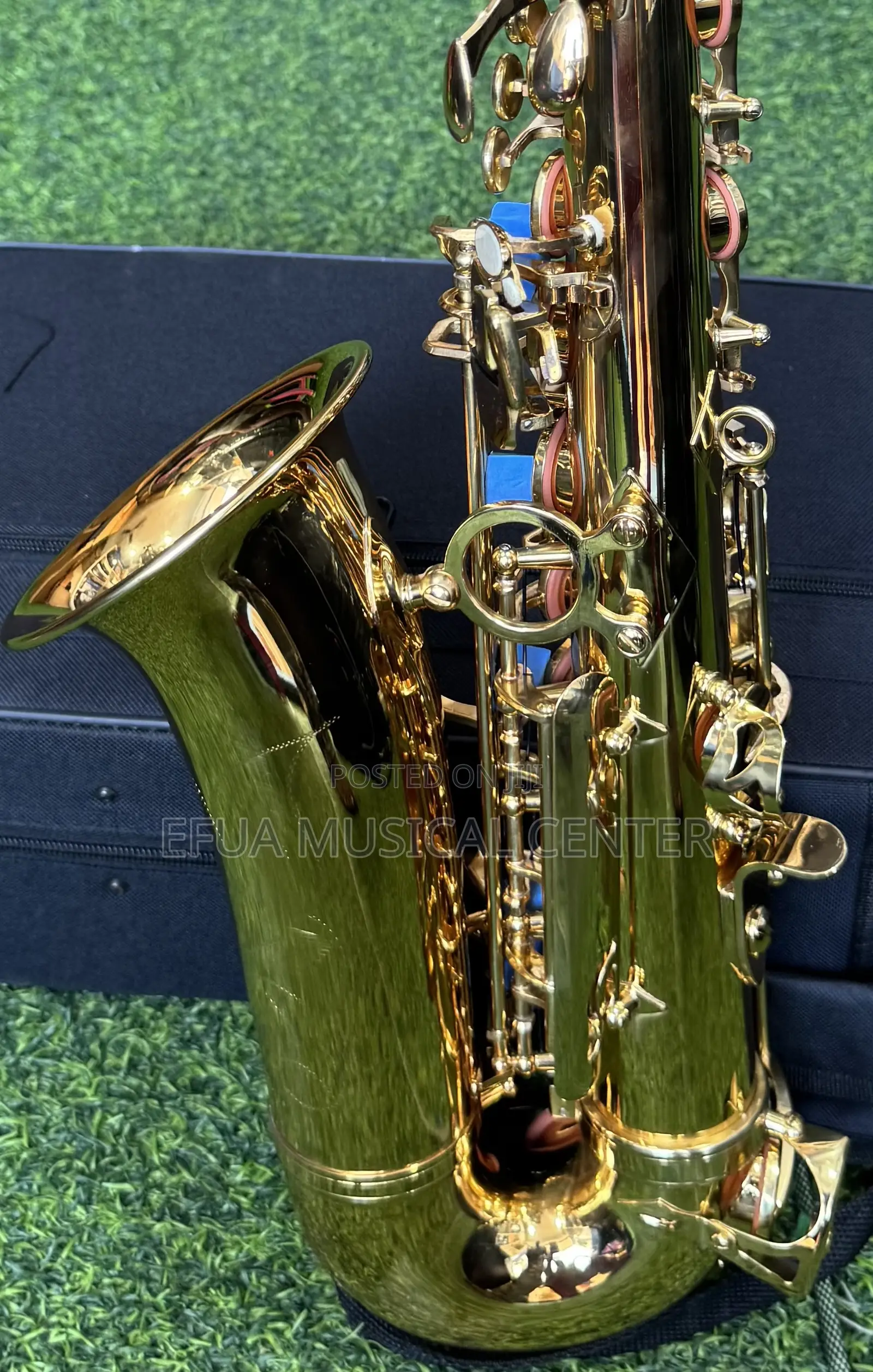 Saxophone/Alto-Suck
