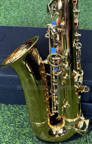 Saxophone/Alto-Suck
